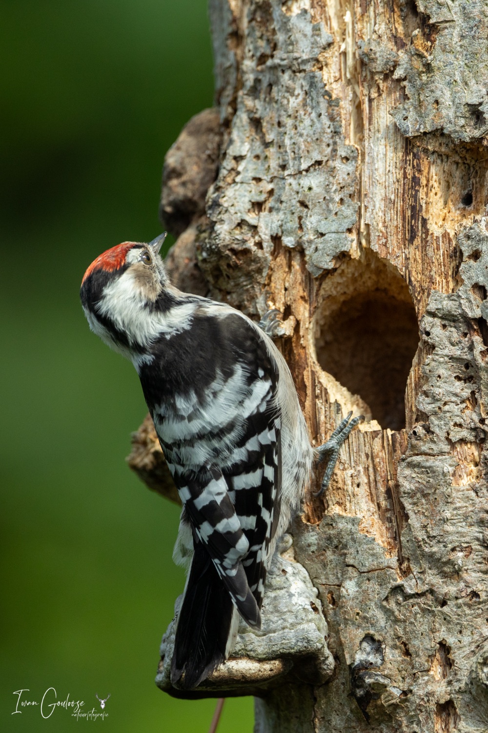 13 augustus 2023 120424  R2A6411